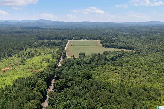 4049 KLEIN ROAD, Harpersville, AL 35078