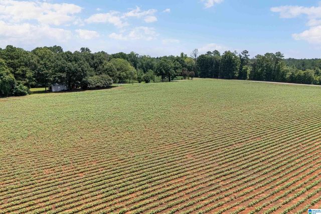 4049 KLEIN ROAD, Harpersville, AL 35078