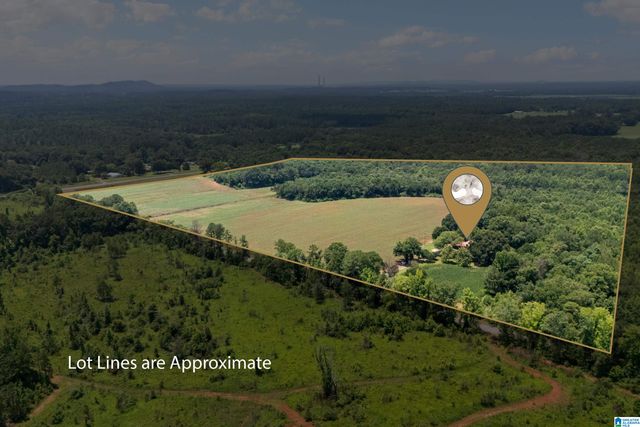 4049 KLEIN ROAD, Harpersville, AL 35078