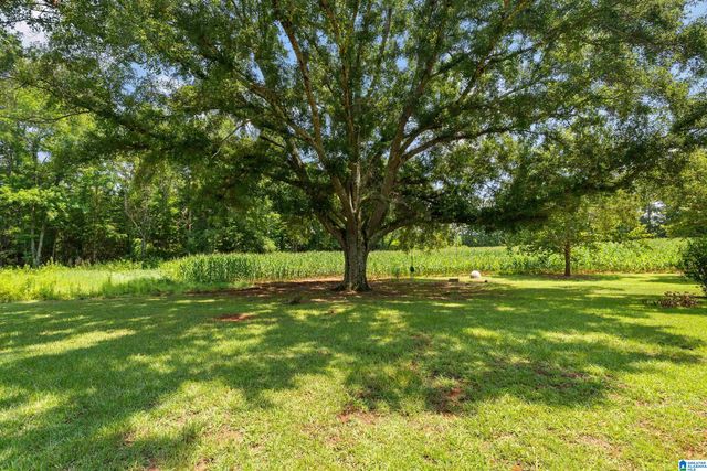 4049 KLEIN ROAD, Harpersville, AL 35078