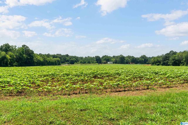 4049 KLEIN ROAD, Harpersville, AL 35078
