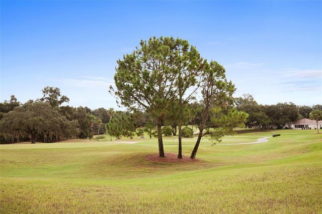 13185 SE 93RD TERRACE ROAD, Summerfield, FL 34491