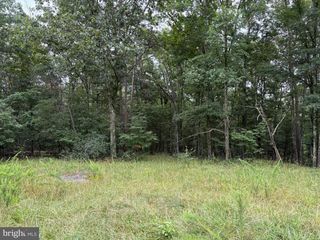 9.31 AC PINE TREE DR, Bloomery, WV 26817