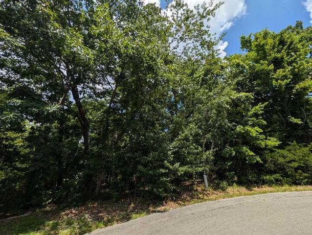 Campbell Lane, Bella Vista, AR 72715