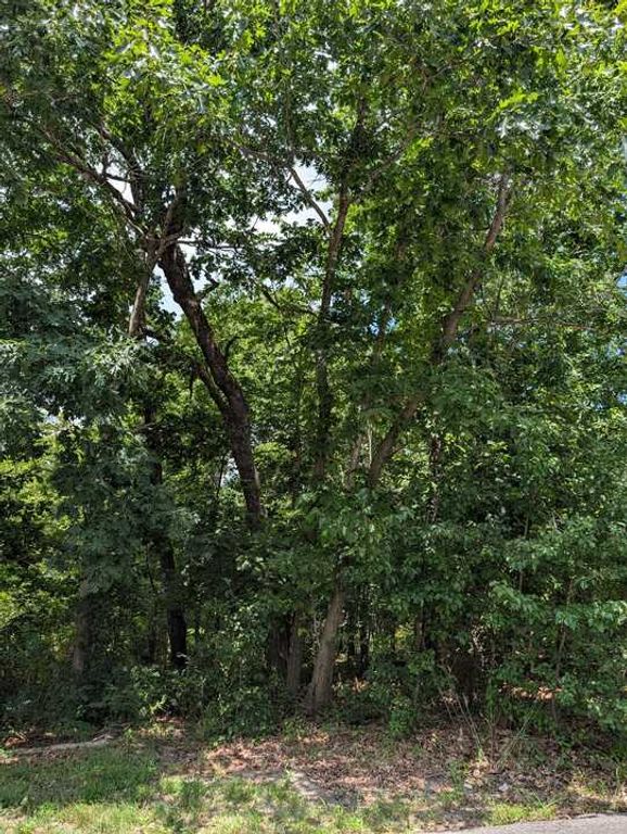 Campbell Lane, Bella Vista, AR 72715