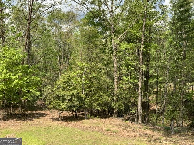 426 Shenendoa Drive 55, Ellijay, GA 30540