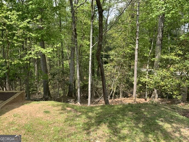 426 Shenendoa Drive 55, Ellijay, GA 30540