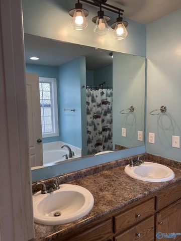 1797 Ready Section Road, Toney, AL 35773