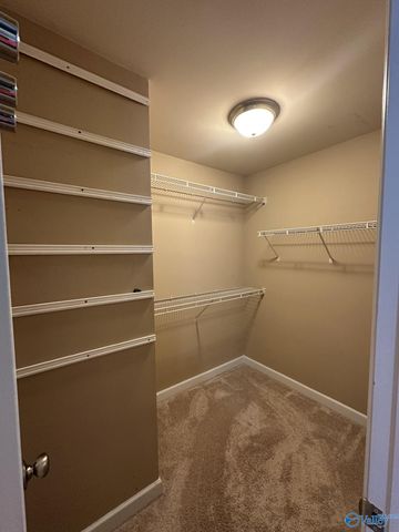 1797 Ready Section Road, Toney, AL 35773