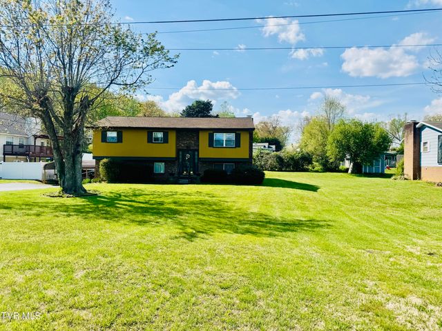 1303 East 10th Avenue, Johnson City, TN 37601