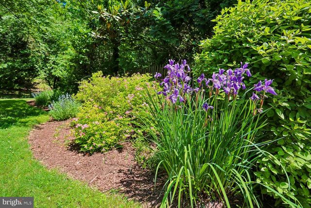 11507 FARMLAND DR, Rockville, MD 20852