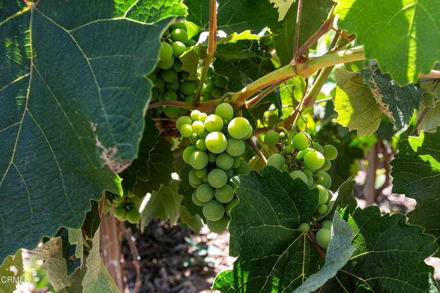 12127 Presilla Road, Camarillo, CA 93012