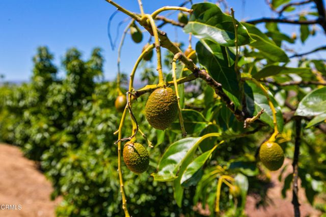 12127 Presilla Road, Camarillo, CA 93012