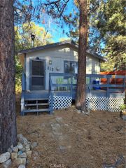 312 Riverside Avenue, Big Bear, CA 92386