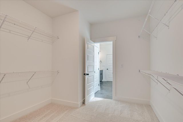 1082 Speckled Teal, Aiken, SC 29803