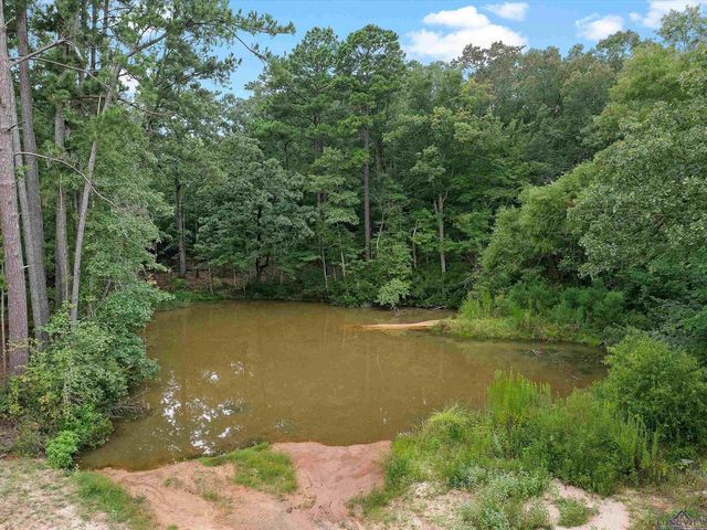 4996 & 5002 County Road 112 N, Overton, TX 75684