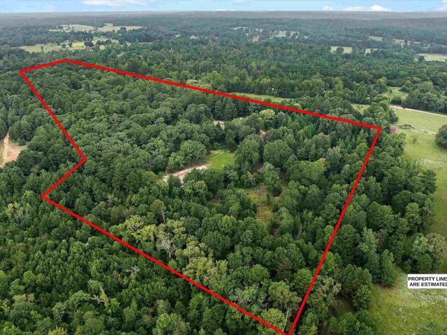 4996 & 5002 County Road 112 N, Overton, TX 75684