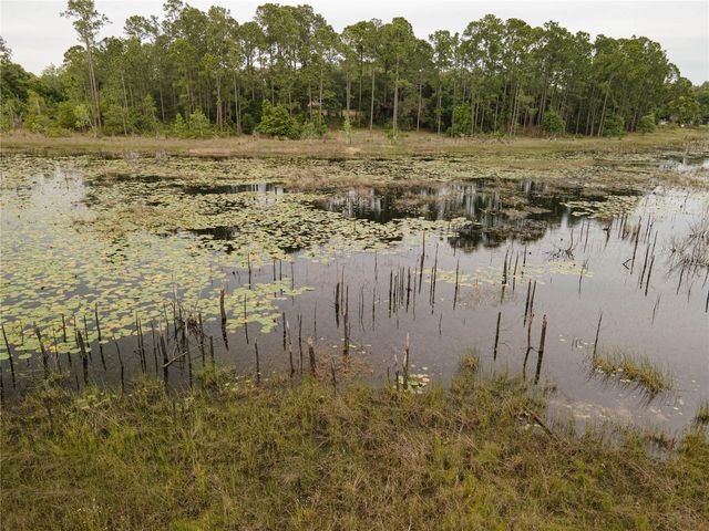 SPRUCE DRIVE, Eustis, FL 32736