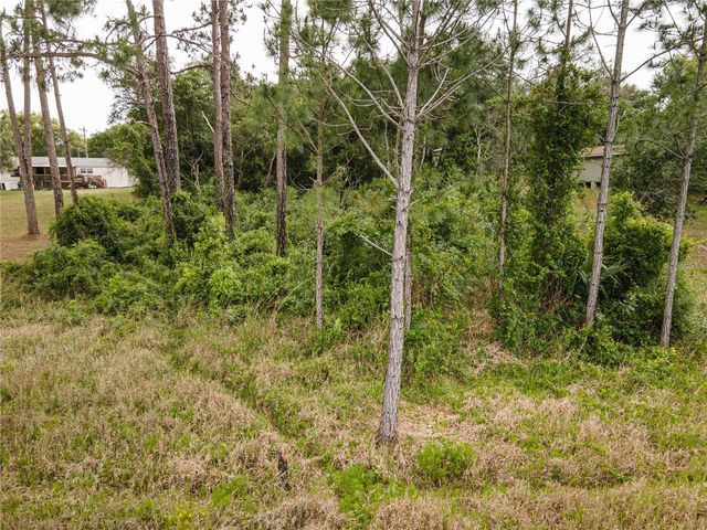 SPRUCE DRIVE, Eustis, FL 32736