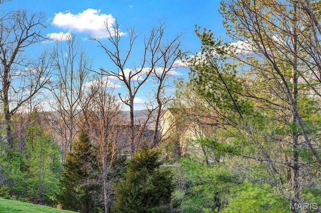 679 Bluffs View Court, Eureka, MO 63025