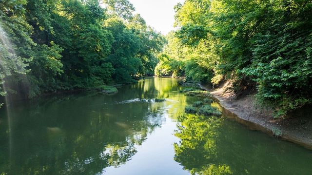 426 Cotton Ln, Franklin, TN 37069