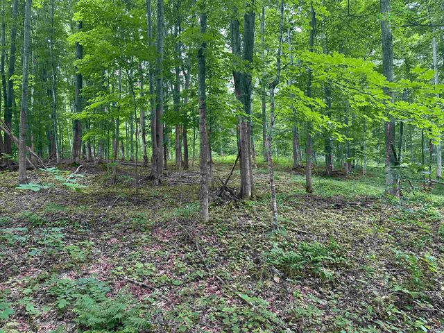 11599 S Tower, Kasson Twp, MI 49664