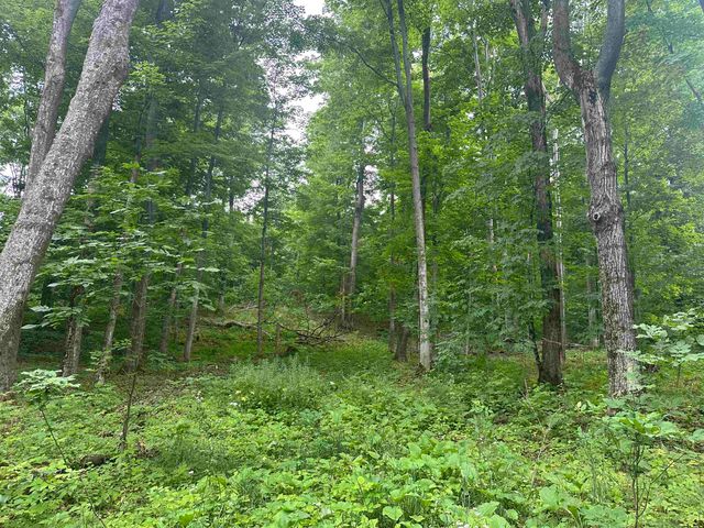 11599 S Tower, Kasson Twp, MI 49664