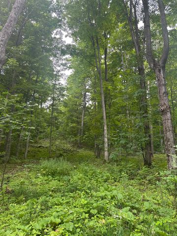 11599 S Tower, Kasson Twp, MI 49664