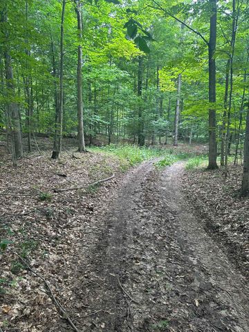 11599 S Tower, Kasson Twp, MI 49664