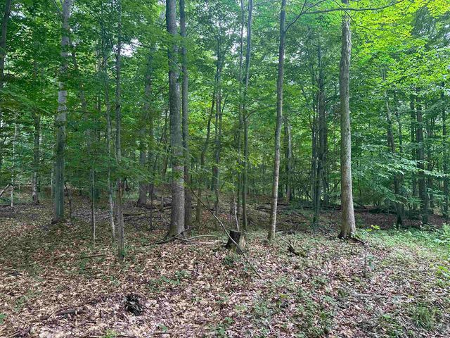 11599 S Tower, Kasson Twp, MI 49664