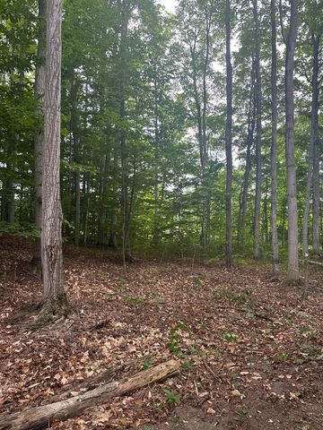 11599 S Tower, Kasson Twp, MI 49664