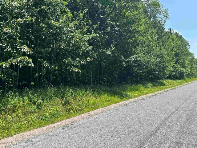 11599 S Tower, Kasson Twp, MI 49664