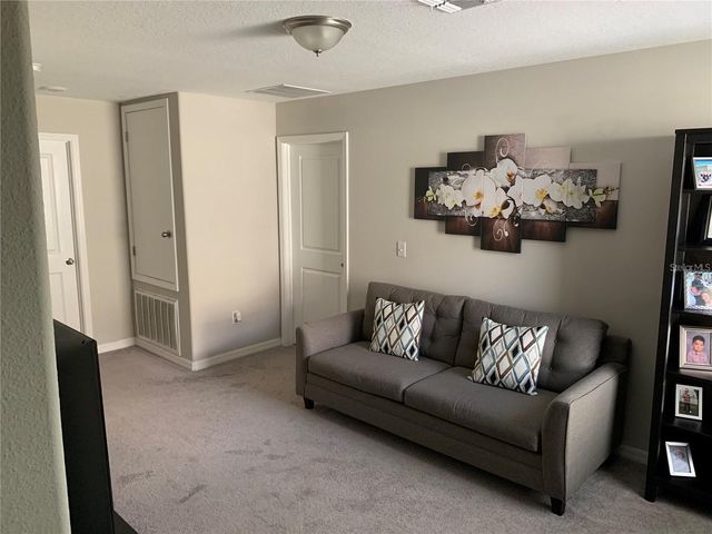 10460 CARLOWAY HILLS DRIVE, Wimauma, FL 33598