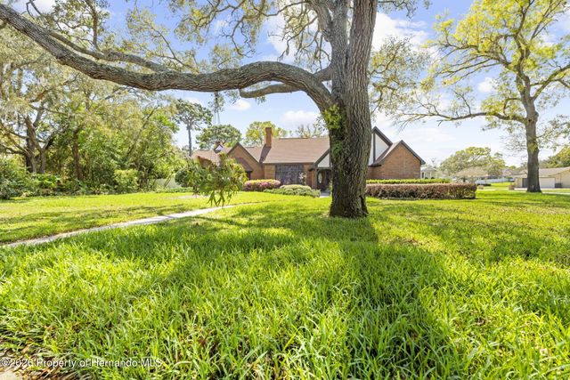 14152 Pepperwood Court, Hudson, FL 34667