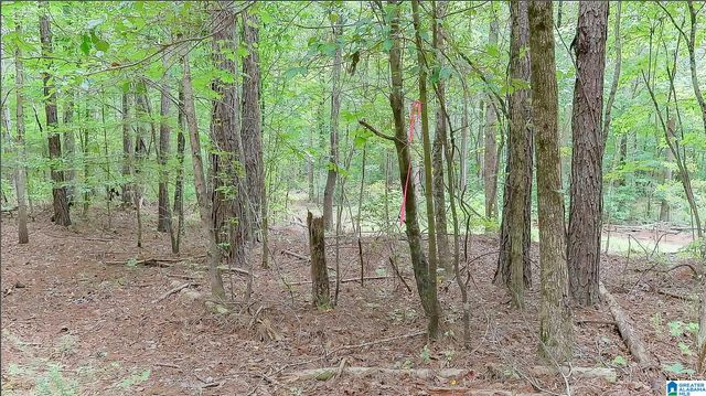 0 COUNTY ROAD 475, Woodland, AL 36280