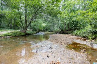 0 COUNTY ROAD 475, Woodland, AL 36280