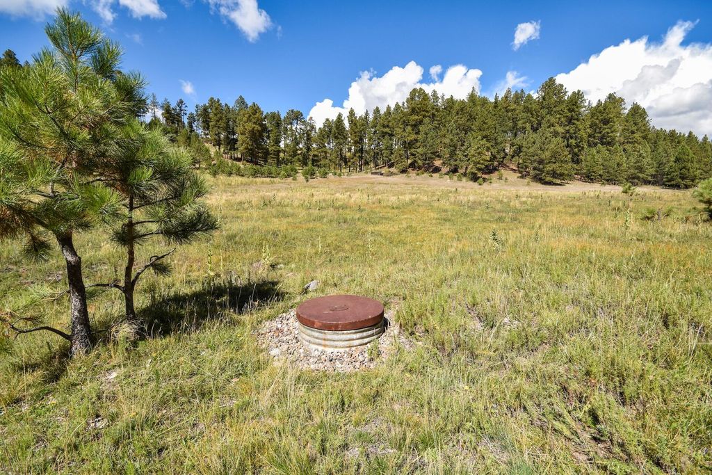 Image 10 of property listing at 27.5 Acres Jemez Mountain Forest Rd 10, Jemez Springs, NM 87025