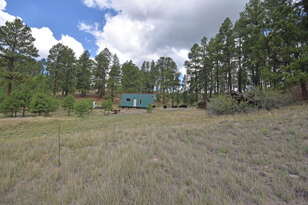Image 24 of property listing at 27.5 Acres Jemez Mountain Forest Rd 10, Jemez Springs, NM 87025