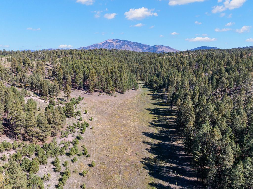 Image 29 of property listing at 27.5 Acres Jemez Mountain Forest Rd 10, Jemez Springs, NM 87025