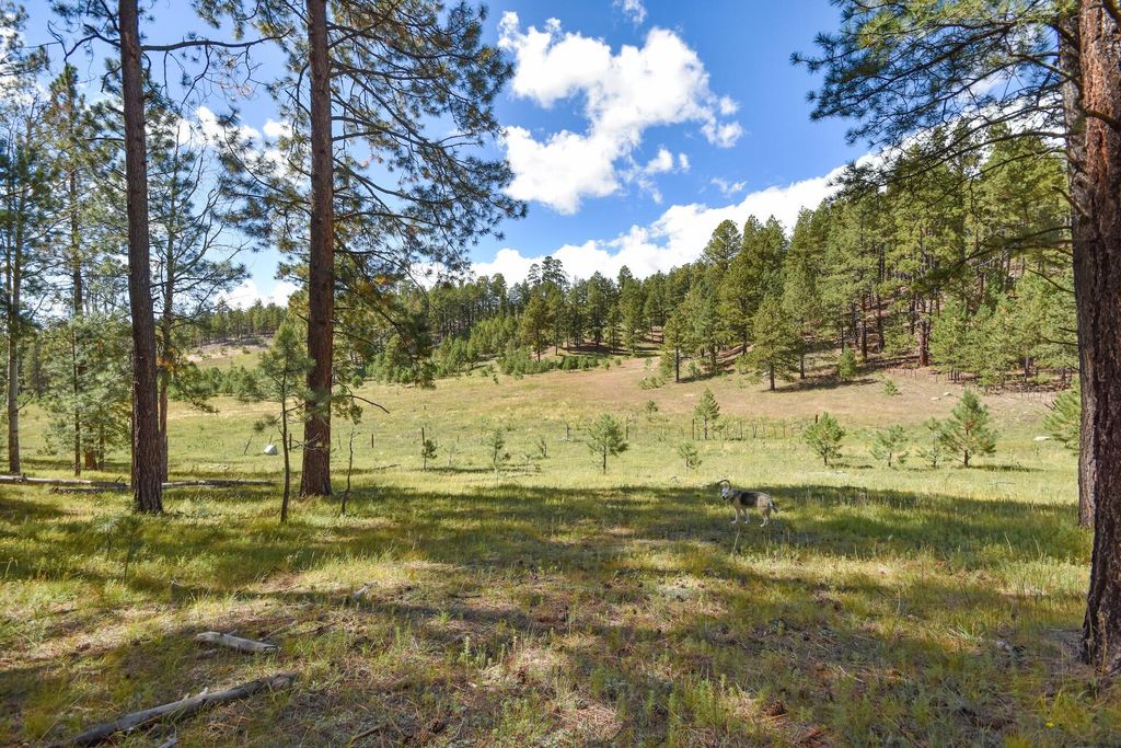 Image 3 of property listing at 27.5 Acres Jemez Mountain Forest Rd 10, Jemez Springs, NM 87025