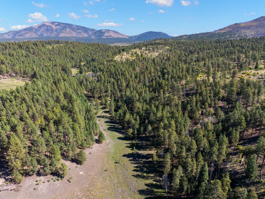 Image 30 of property listing at 27.5 Acres Jemez Mountain Forest Rd 10, Jemez Springs, NM 87025
