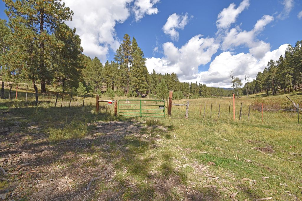 Image 32 of property listing at 27.5 Acres Jemez Mountain Forest Rd 10, Jemez Springs, NM 87025