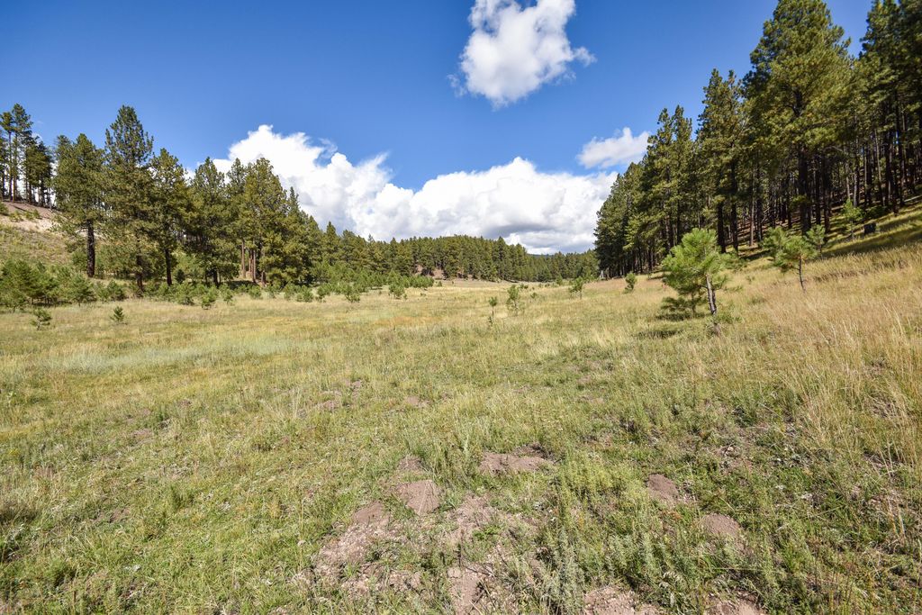 Image 33 of property listing at 27.5 Acres Jemez Mountain Forest Rd 10, Jemez Springs, NM 87025