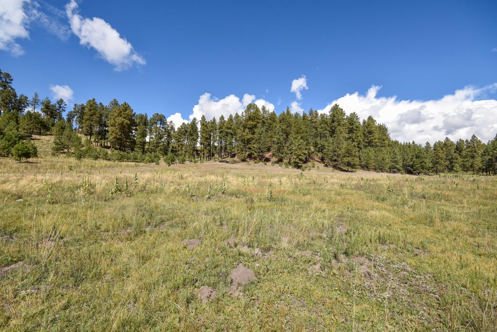 Image 34 of property listing at 27.5 Acres Jemez Mountain Forest Rd 10, Jemez Springs, NM 87025