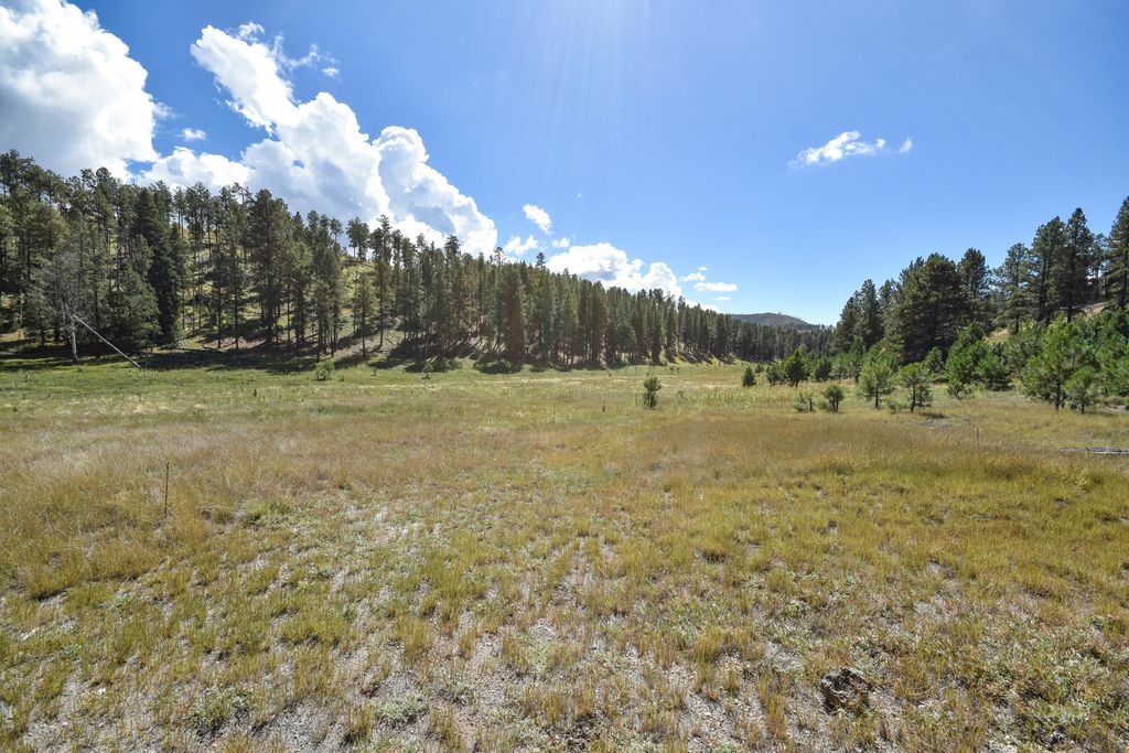 Image 36 of property listing at 27.5 Acres Jemez Mountain Forest Rd 10, Jemez Springs, NM 87025