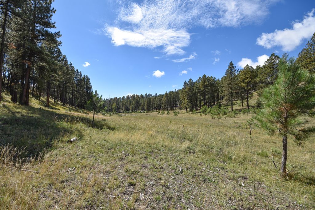 Image 38 of property listing at 27.5 Acres Jemez Mountain Forest Rd 10, Jemez Springs, NM 87025