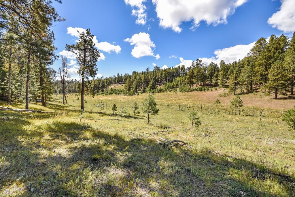 Image 39 of property listing at 27.5 Acres Jemez Mountain Forest Rd 10, Jemez Springs, NM 87025