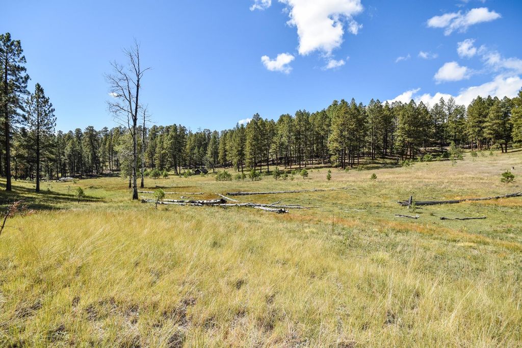 Image 40 of property listing at 27.5 Acres Jemez Mountain Forest Rd 10, Jemez Springs, NM 87025