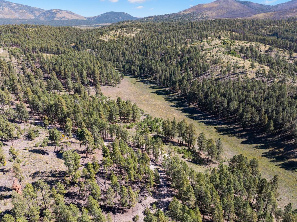 Image 42 of property listing at 27.5 Acres Jemez Mountain Forest Rd 10, Jemez Springs, NM 87025