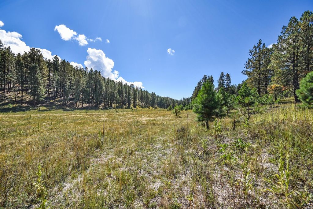 Image 45 of property listing at 27.5 Acres Jemez Mountain Forest Rd 10, Jemez Springs, NM 87025